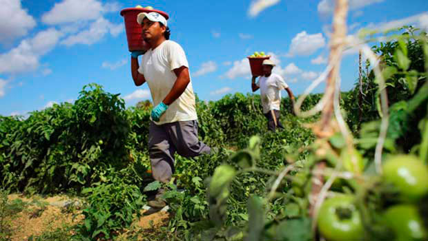 Ofertas de empleo sector agroalimentario en Madrid