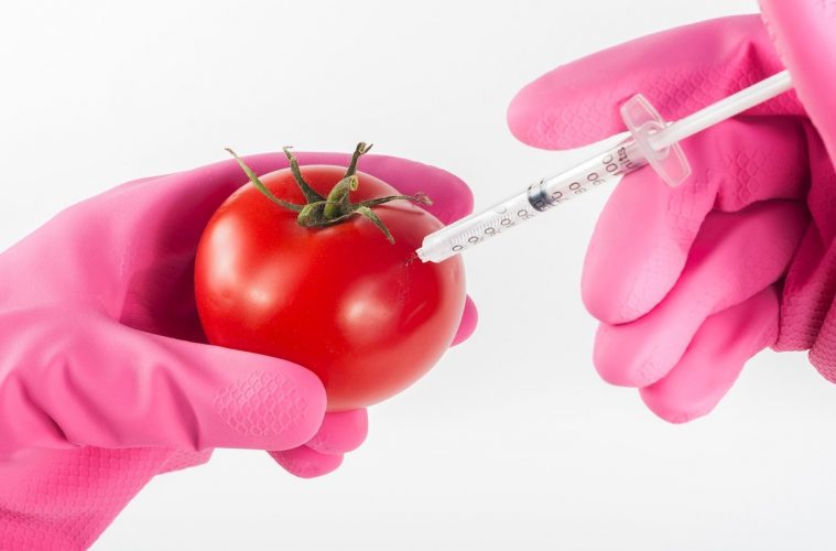 Madrid dispondrá de un instituto especializado en nutrición personalizada