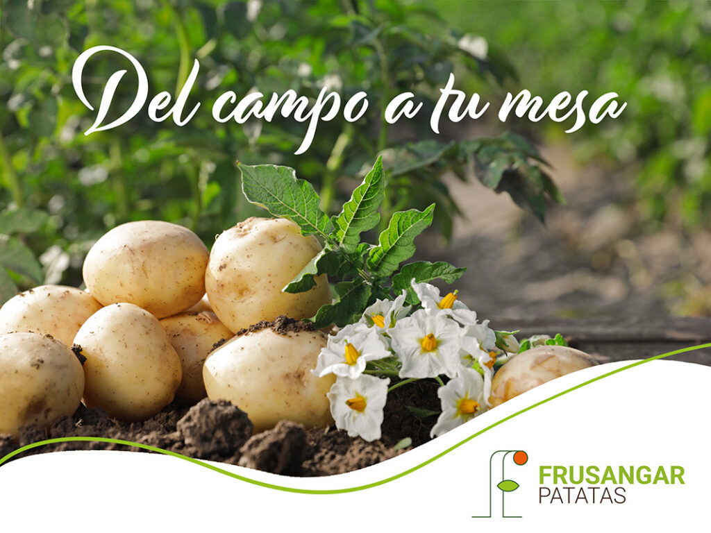 FRUSANGAR
