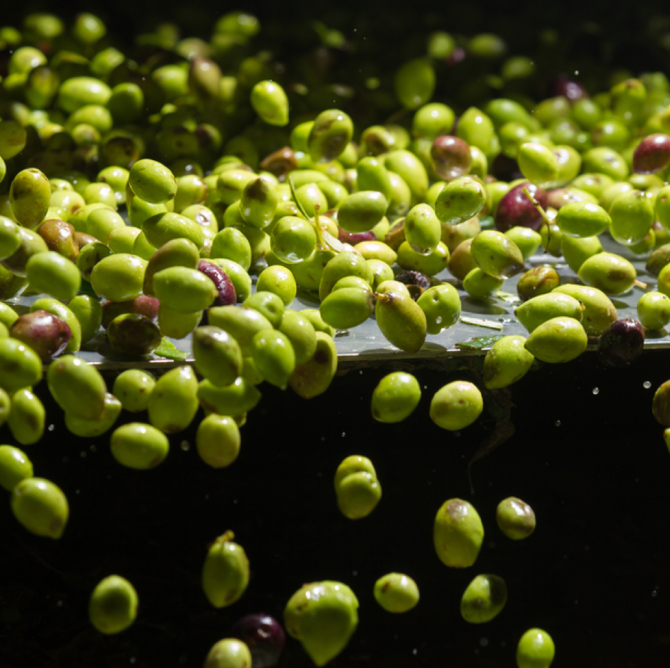La Aceitera de la Abuela