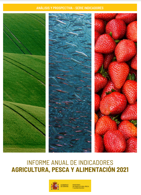 Publicado Informe Anual de Indicadores 2021