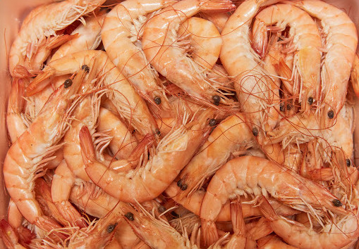 Pescados