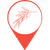 aceite