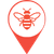 apicola